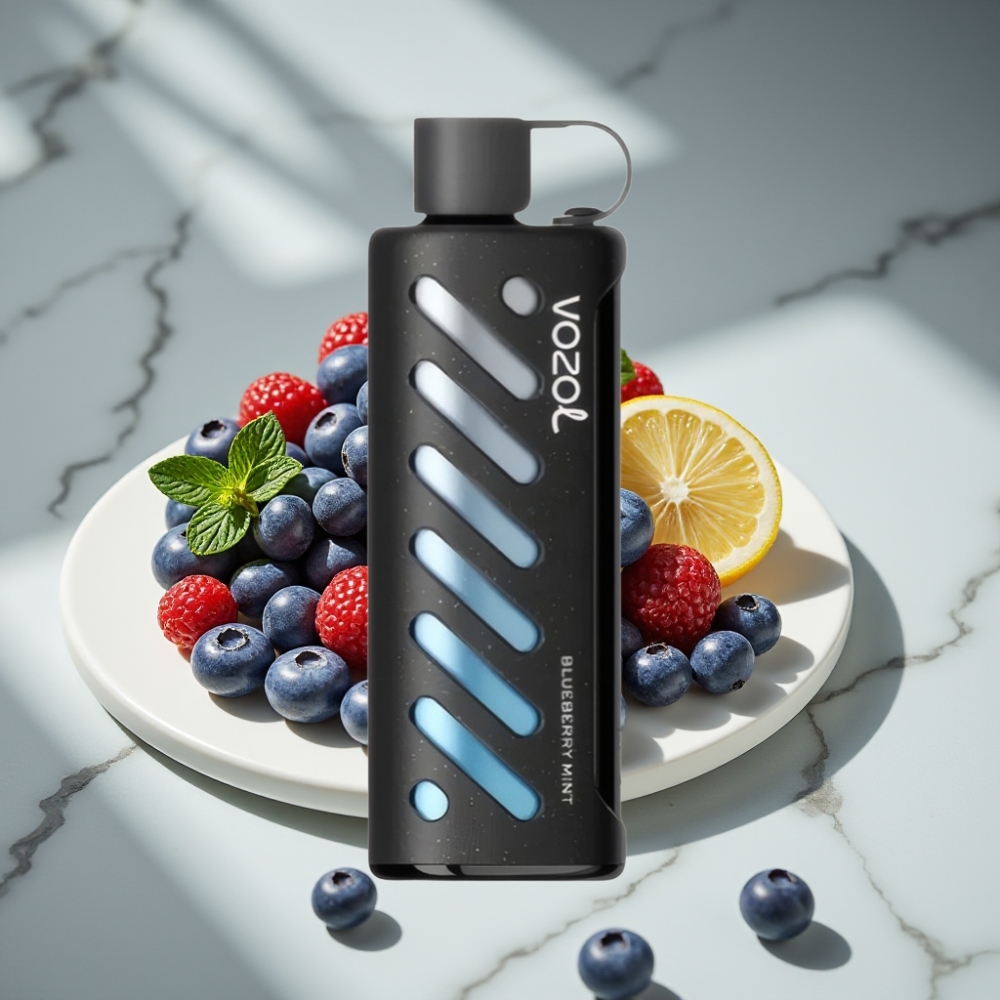 VOZOL Gear Shisha 25000 Puffs Dual Mesh Menta Arándano S.i.L.C Tech 1000mAh 5mg/ml