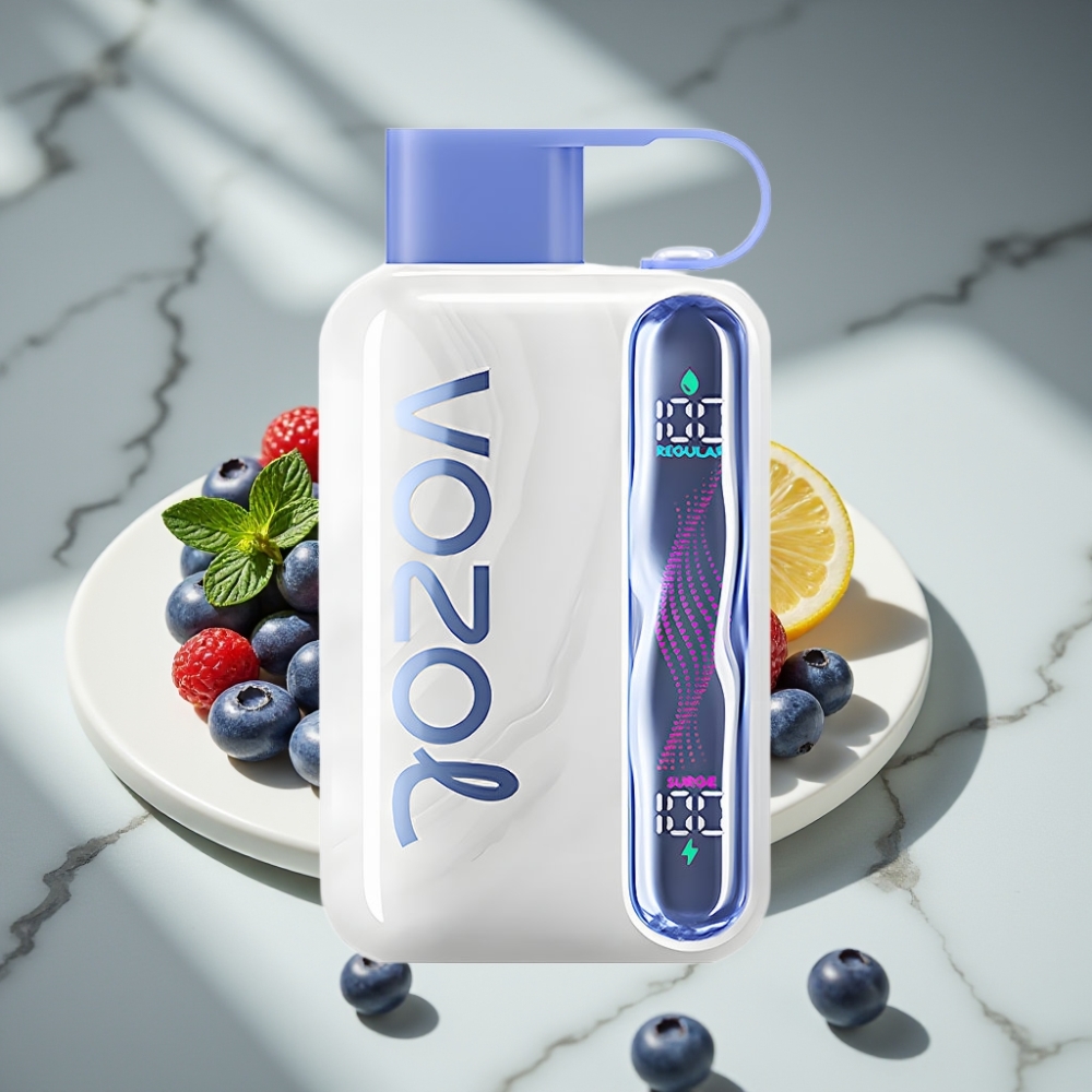 VOZOL STAR 40000 Puffs Vape Desechable Menta Arándano 1000mAh Tipo-C 20/50mg/ml